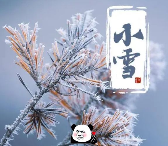 适合小雪节气发朋友圈唯美治愈文案